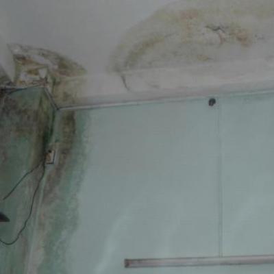 Nguyên nhân và cách khắc phục tình trạng nấm mốc nhà